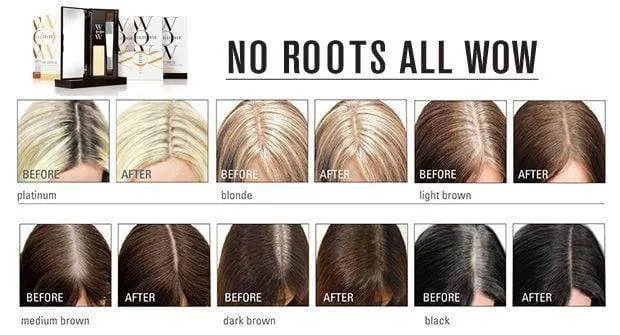 Dark Blonde -  Root Cover up