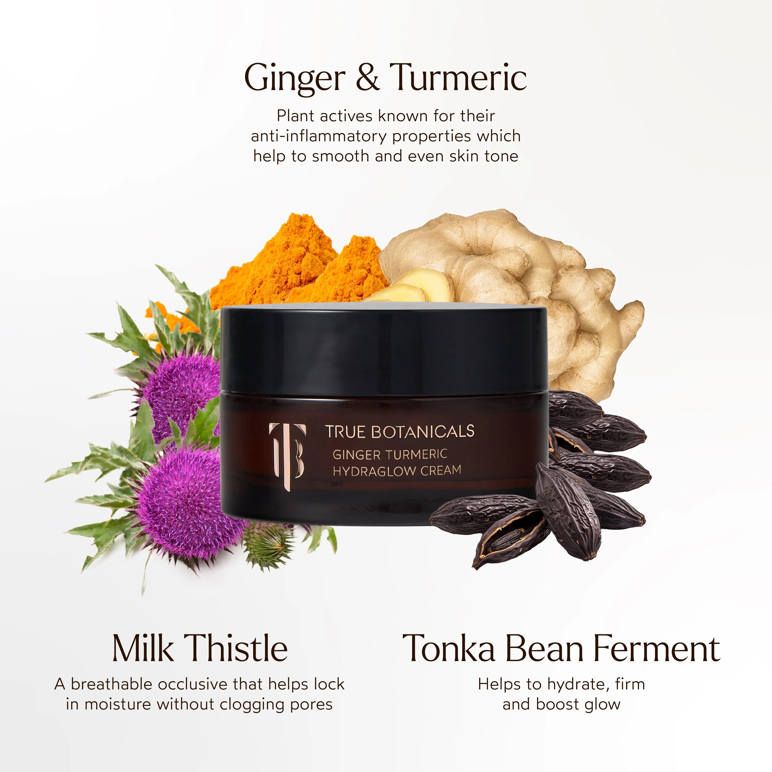 Ginger Turmeric Hydraglow Cream