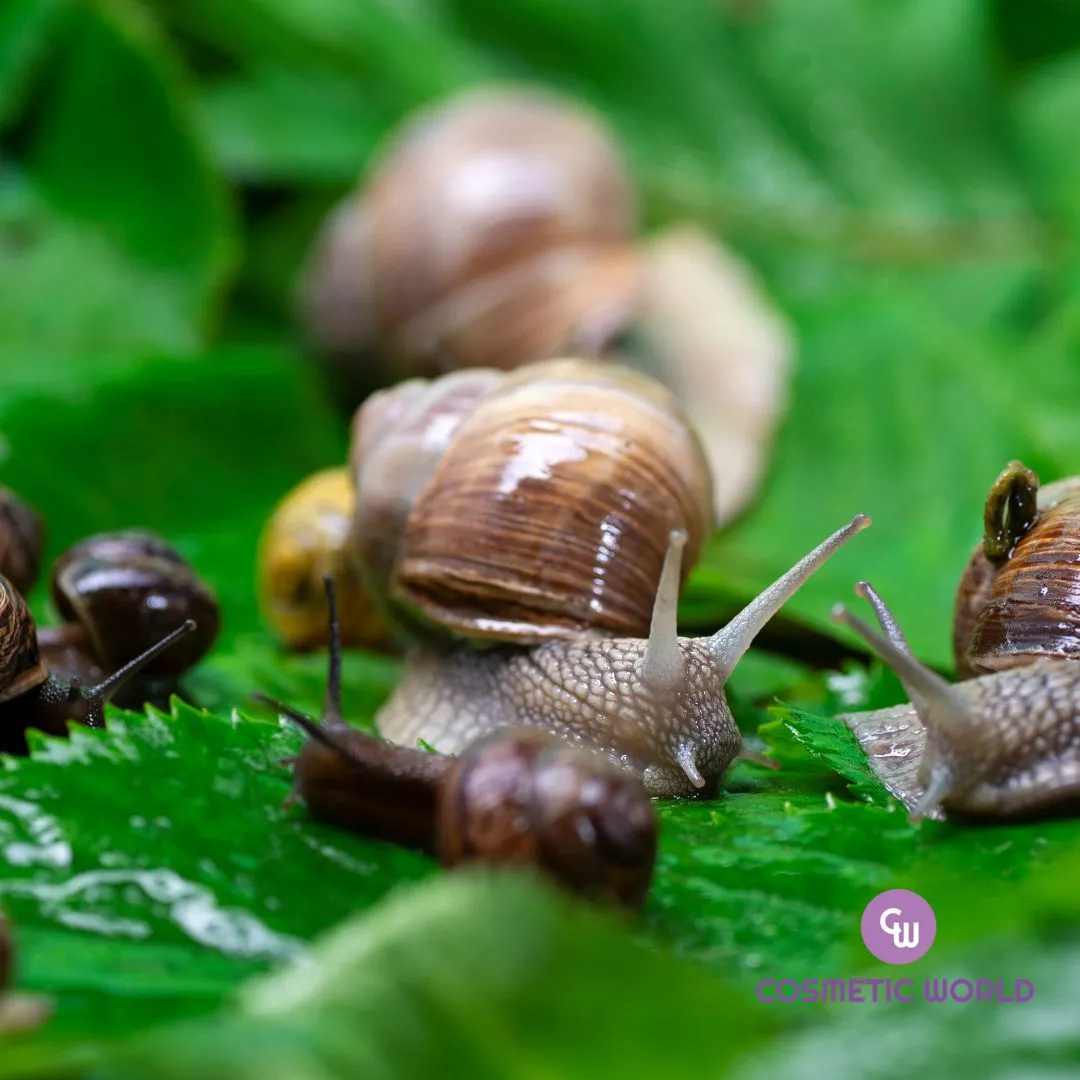 Gold Snail Toner