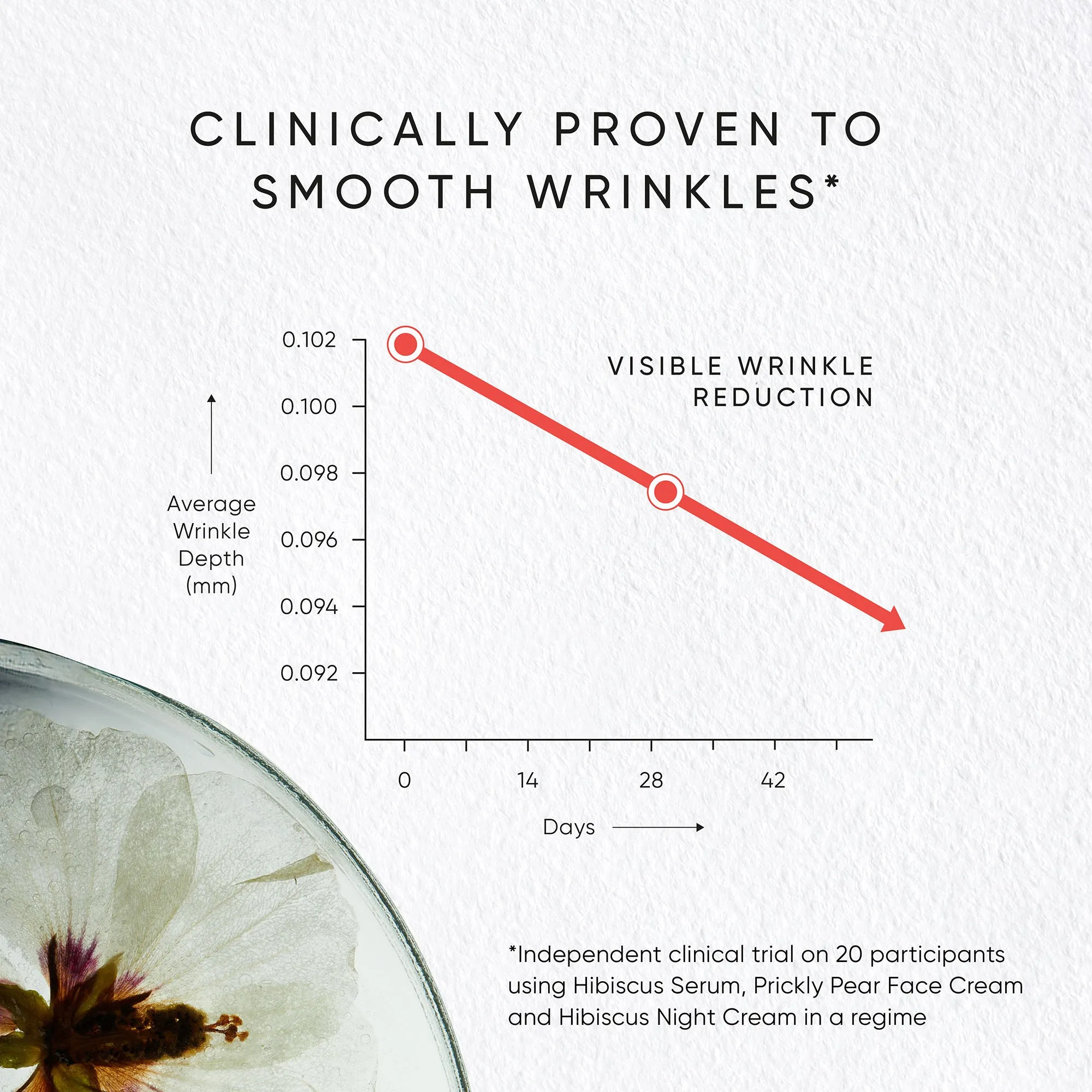 Hibiscus Night Cream With Myoxinol