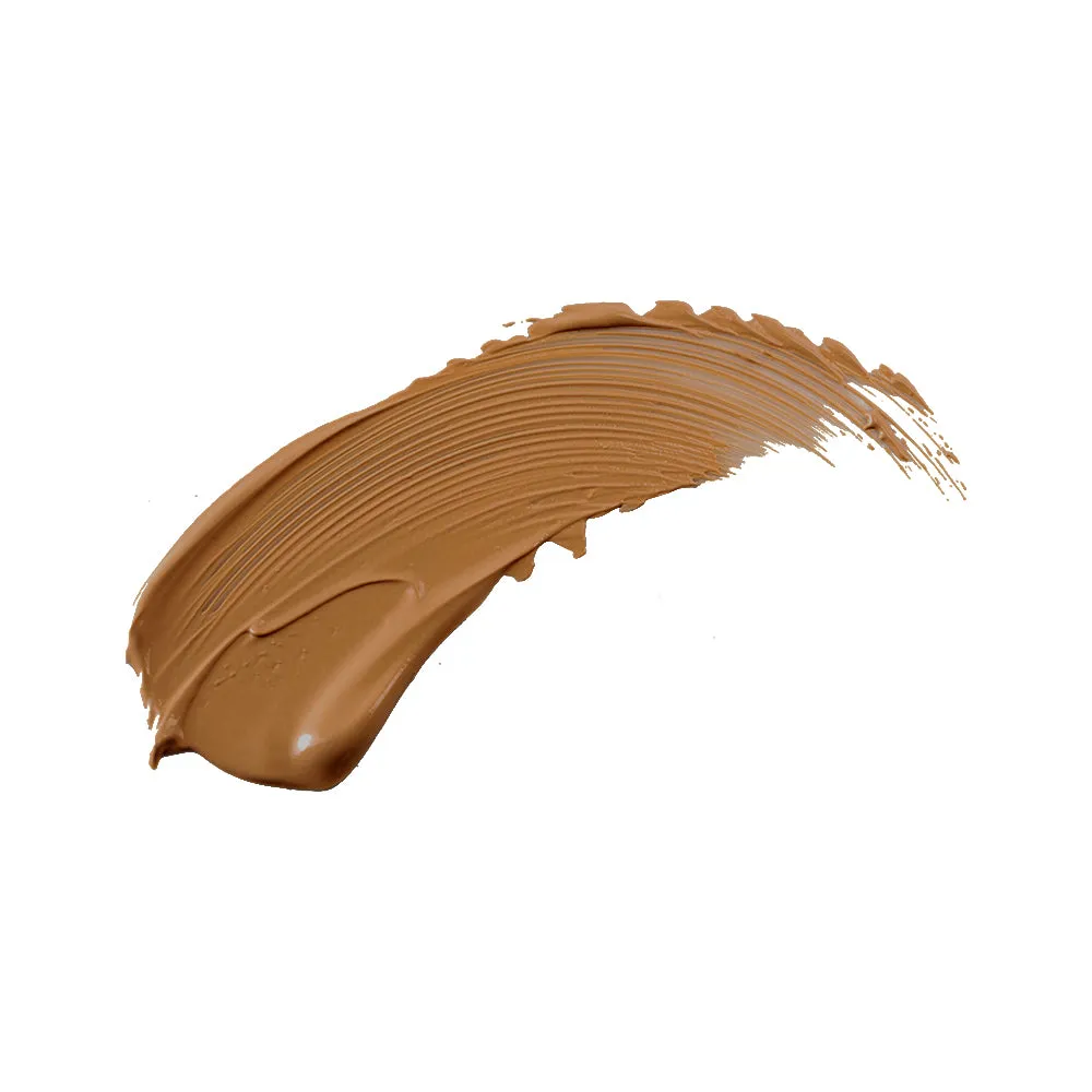 Perfection Concealer