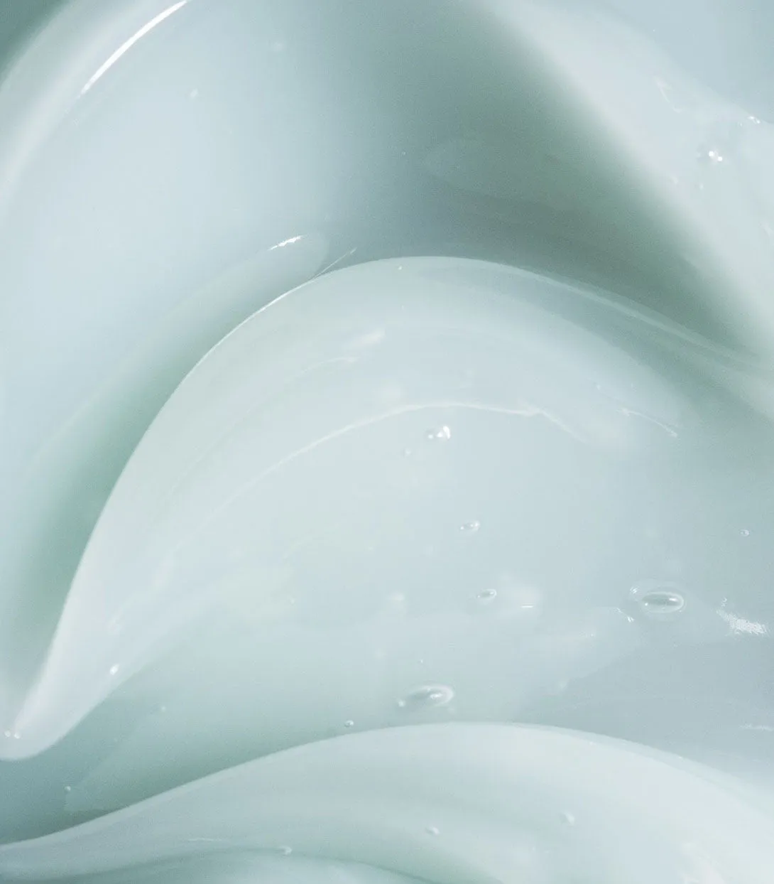 Succulent Skin Gel Cream